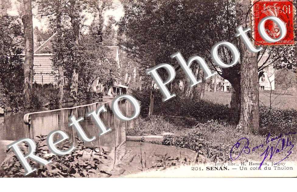 un coin du Tholon