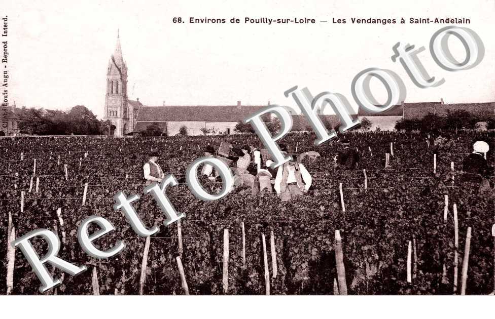 environs de Pouilly sur Loire