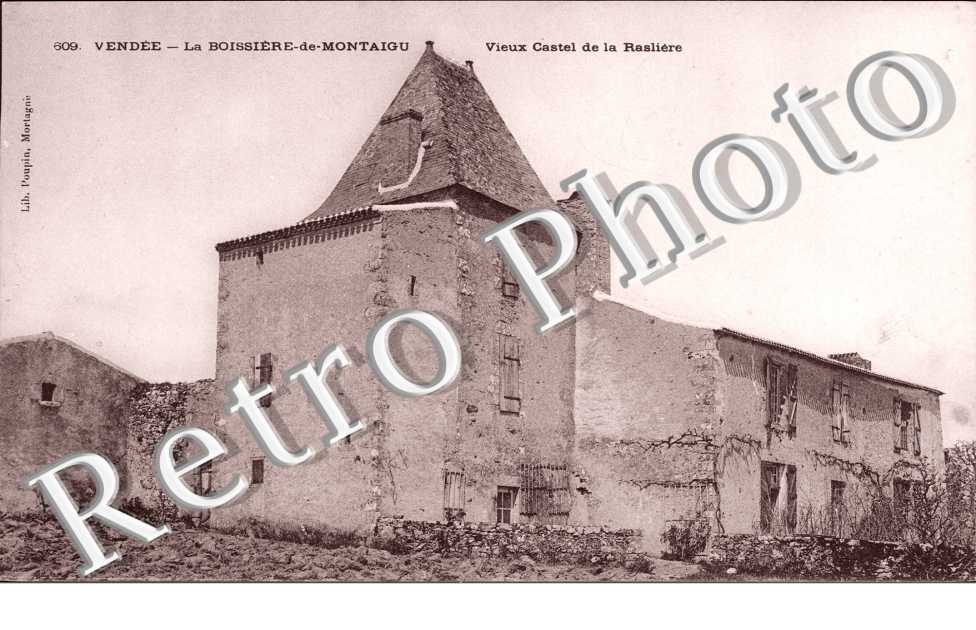 Vieux Castel de la Rasliere
