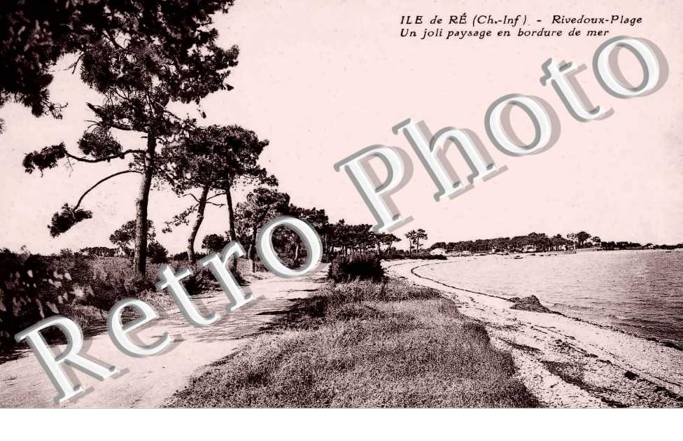 un joli paysage en bordure de mer
