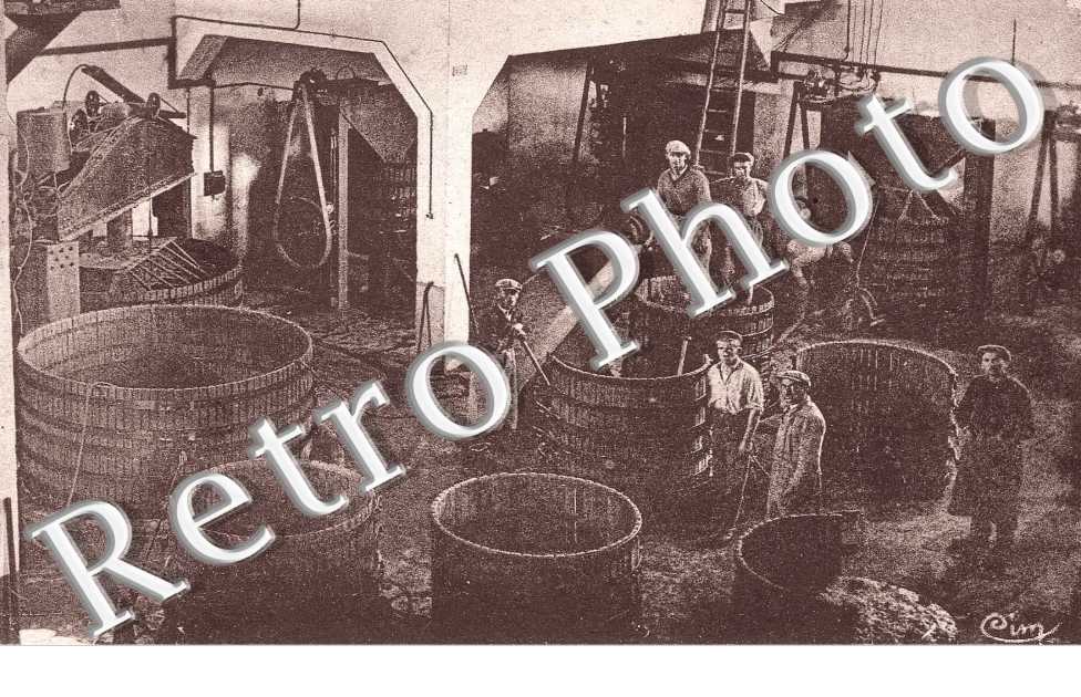 cave cooperative Presses et pressoirs