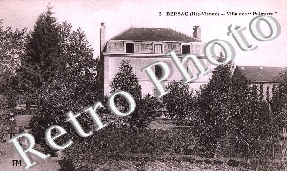 Villa "des palmiers"