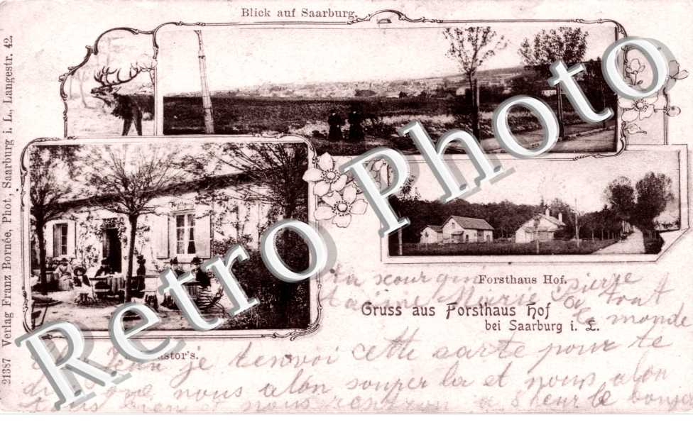 GRUSS AUS FORSTHAUS  HOF  Bei Castor's