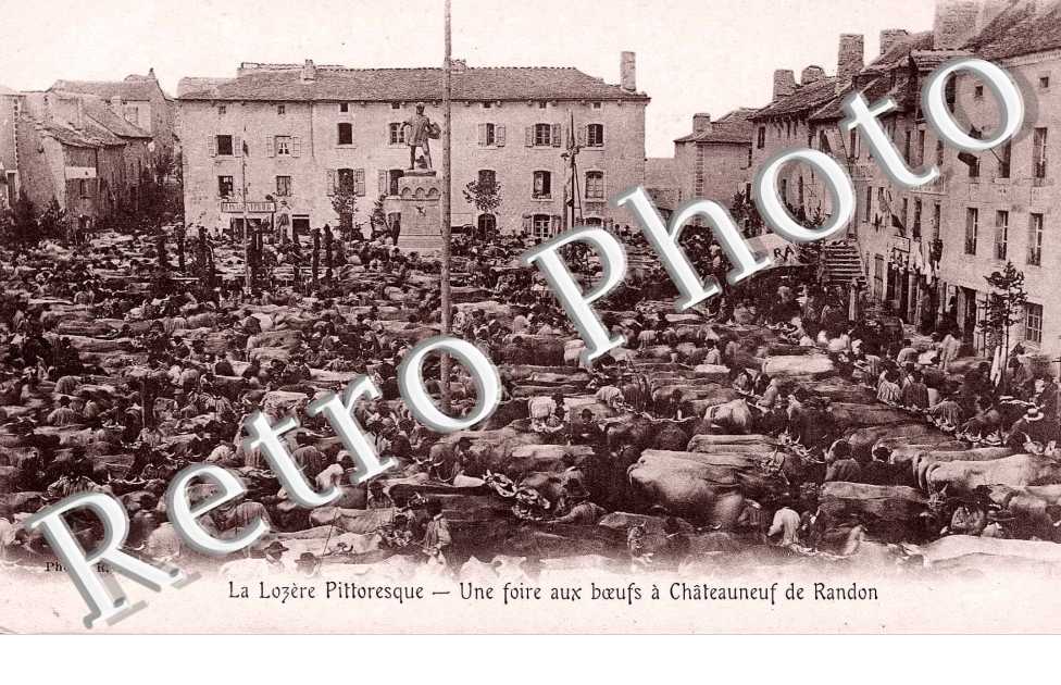 une foire aux boeufs