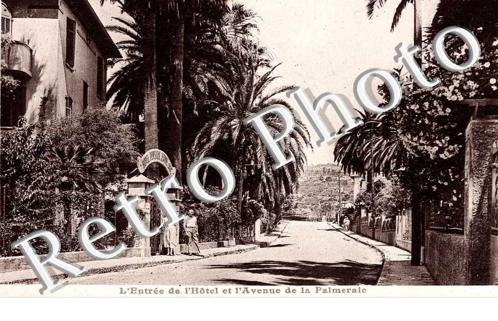 l'entree de l'hotel, palmeraie