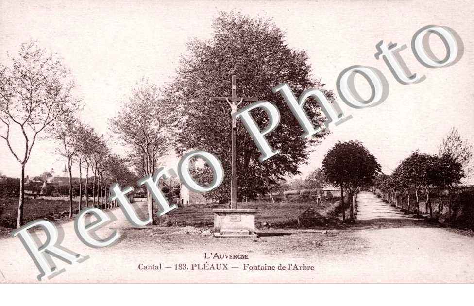 Fontaine de l'arbre