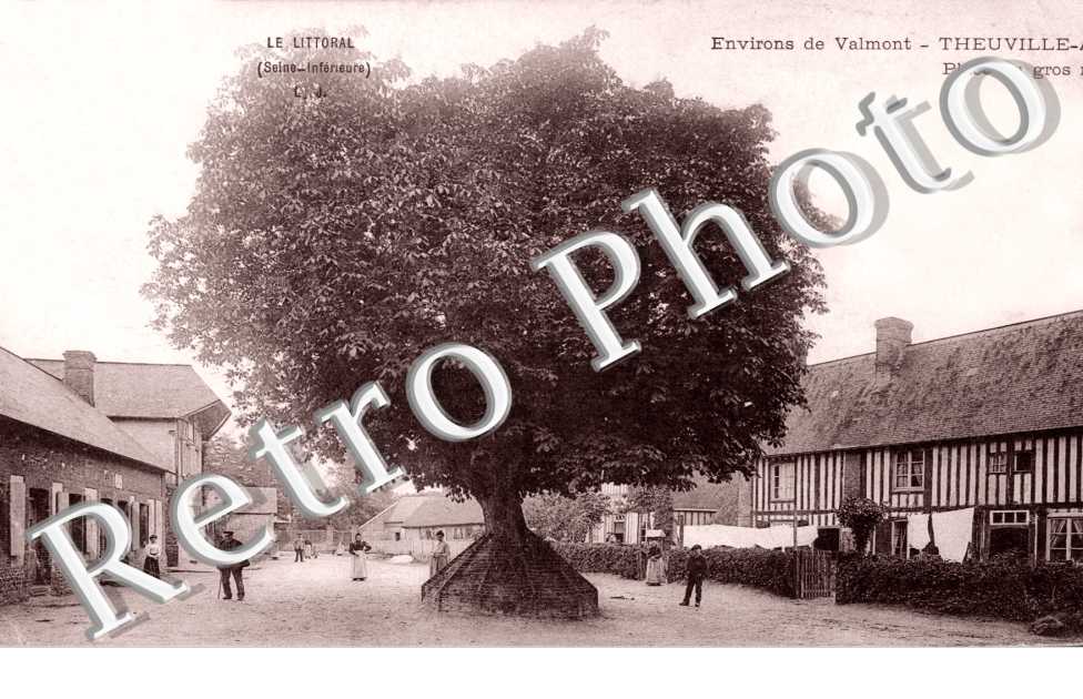 Place du Gros Maronnier