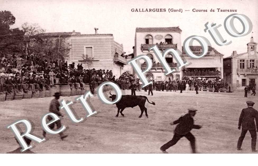 Course de taureaux