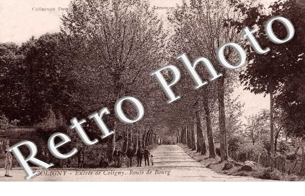 Entree de Coligny - route de Bourg