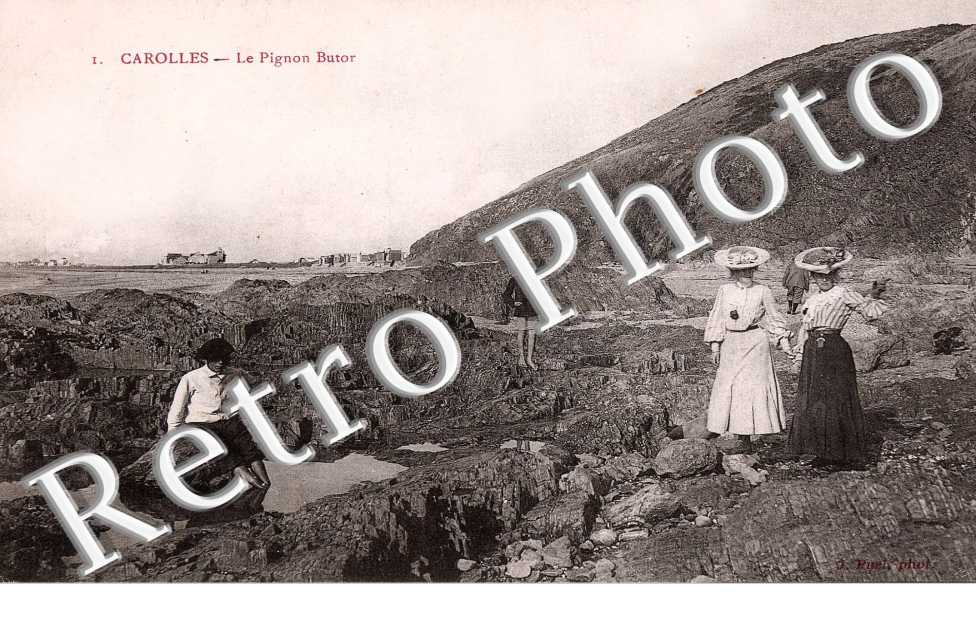 Le Pignon Butor