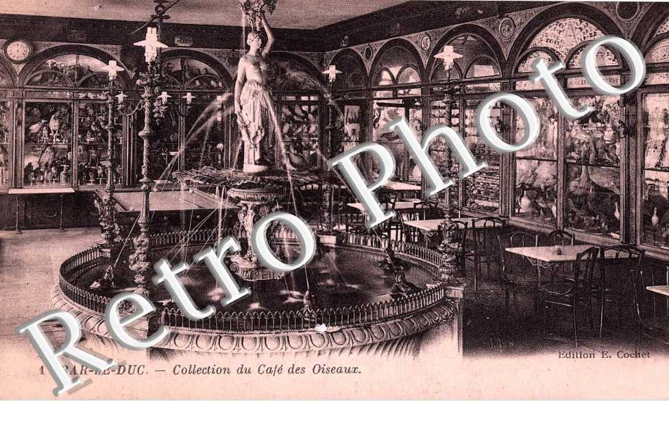 collection du Cafe des Oiseaux