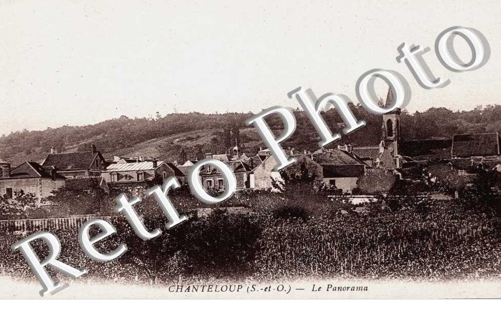 LE PANORAMA
