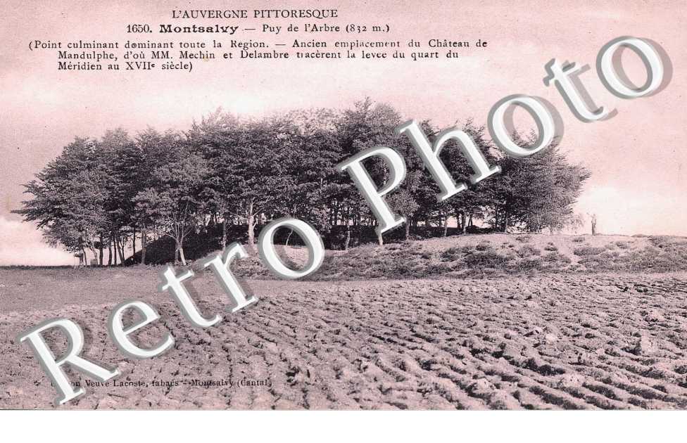Puy de l'arbre