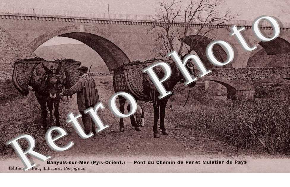 Pont du Chemin de fer et muletier du pays