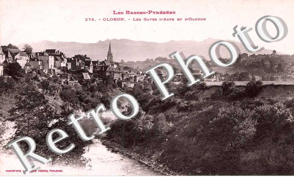 Les Gaves d'Aspe et d'Oloron