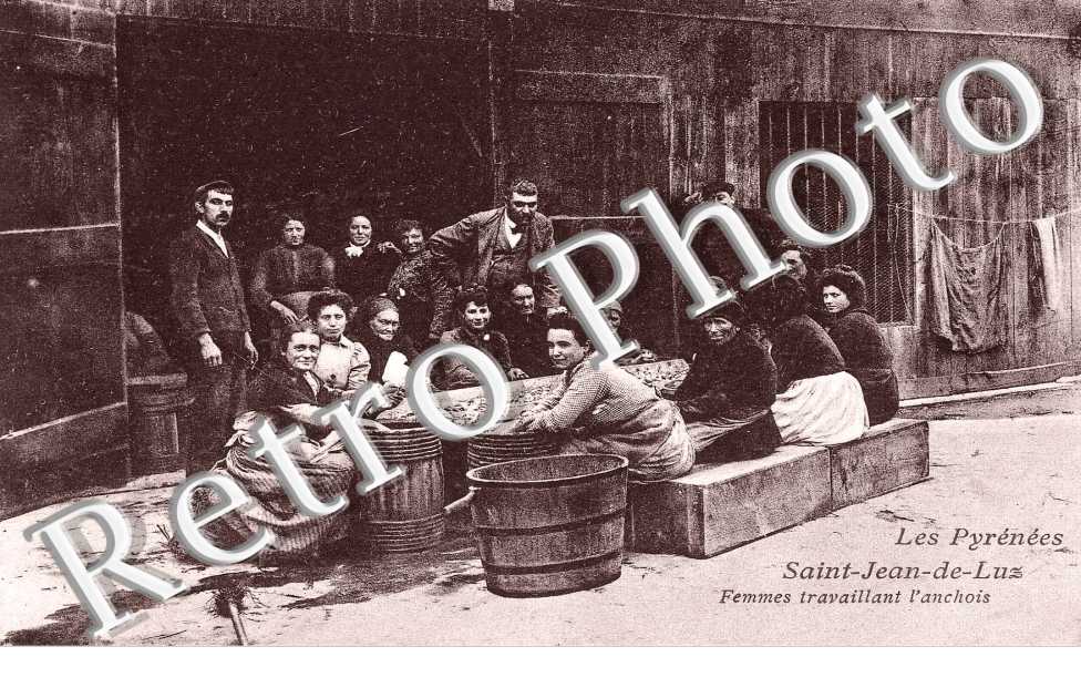 FEMMES TRAVAILLANT L'ANCHOIS