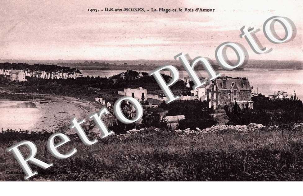La Plage et le Bois d'Amour
