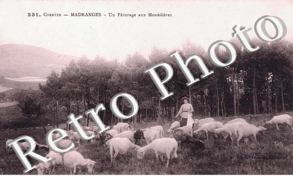 Un paturage aux Monedieres
