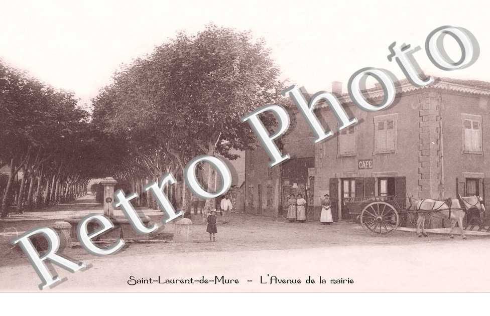 l'avenue de la mairie