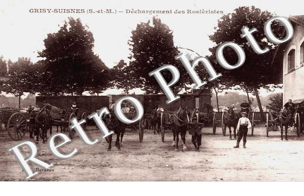 Déchargement des Rosiéristes