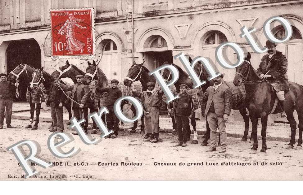 ecuriens Rouleau Chevaux de grand luxe d'attelages et de selle