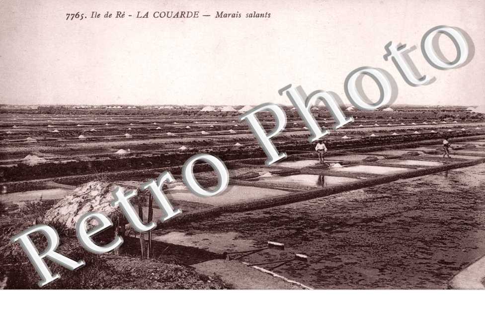 Marais salants