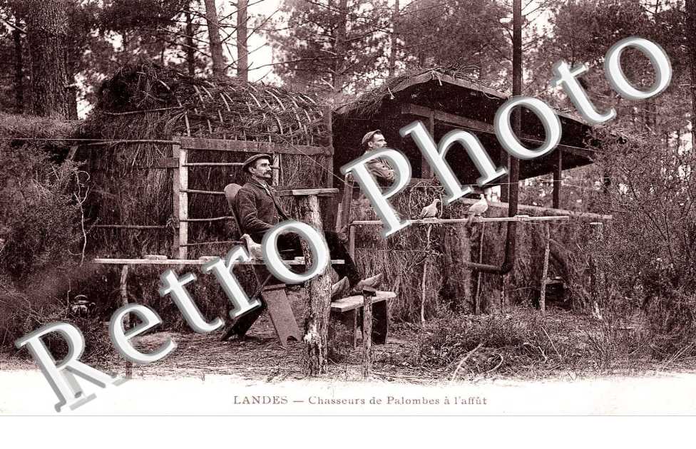 Chasseurs de Palombes à l'Affût