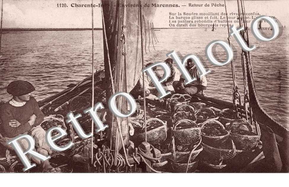 environs de marennes - retour de peche
