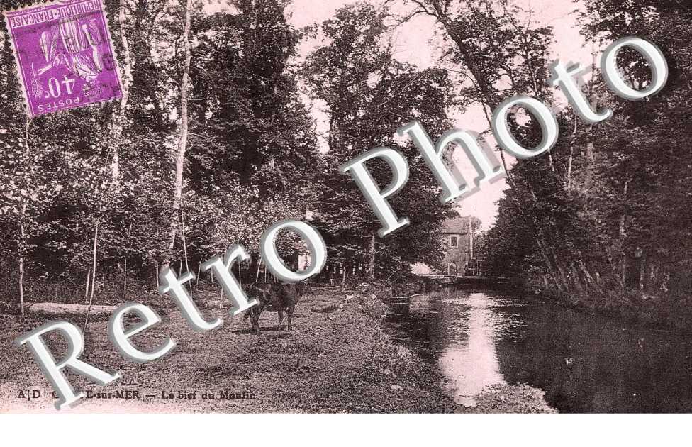 le bief du moulin