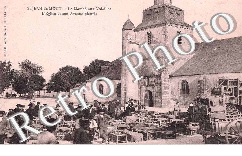LE MARCHE AUX VOLAILLES