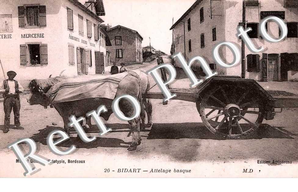 Attelage Basque