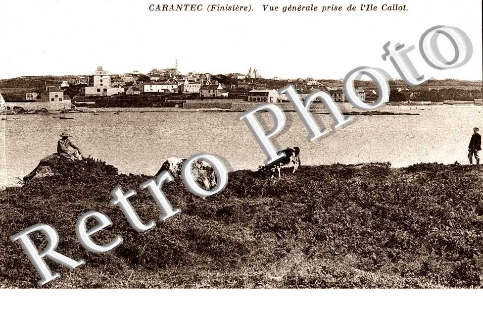 vue generale prise  DE L'ILE CALLOT