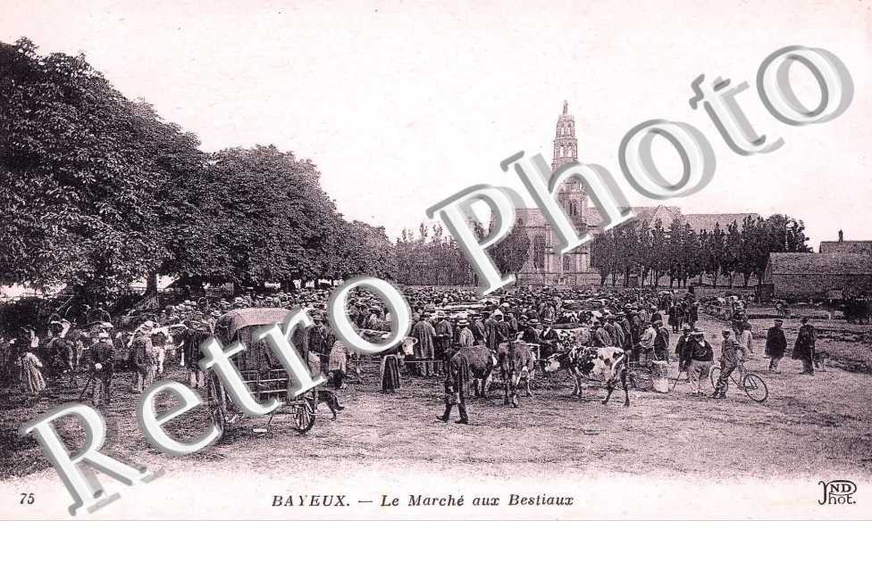 le marche aux bestiaux