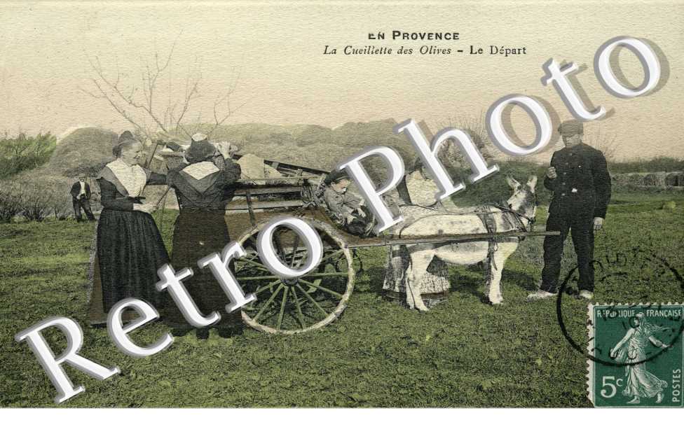 La cueillette des olives - le depart