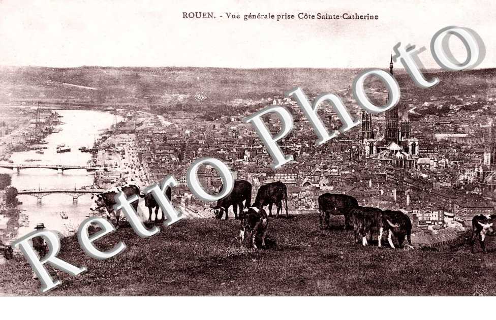 VUE GENERALE COTE STE CATHERINE