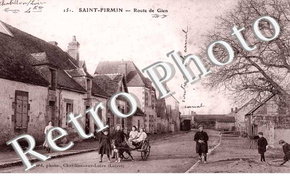 Route de Gien - attelage de chien 