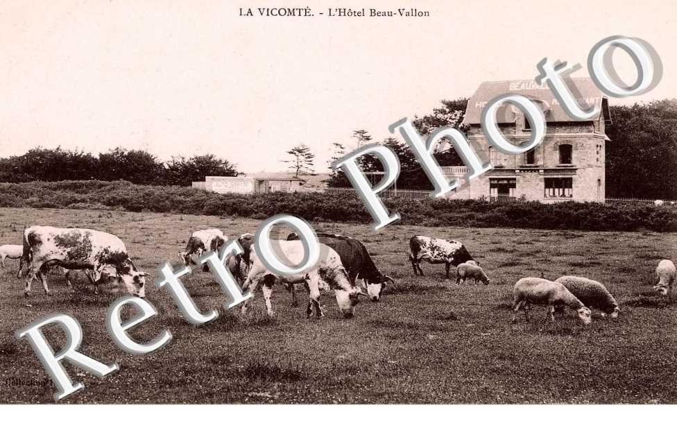 le vicomte, l'hotel beau vallon