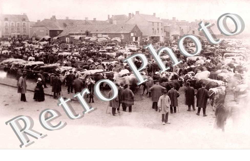 ( Foire aux betails )