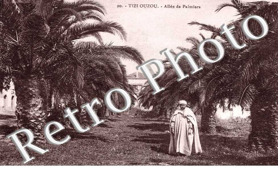 Allée de Palmiers