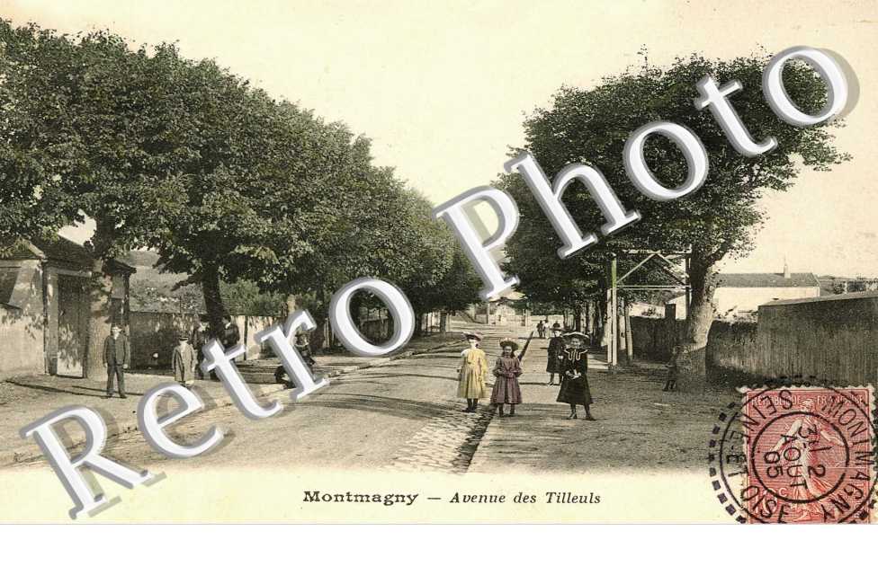 avenue des Tilleuls
