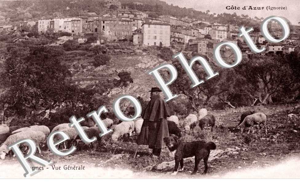 Vue generale