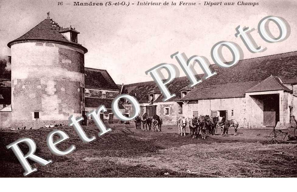 Interieur de la ferme - elevage