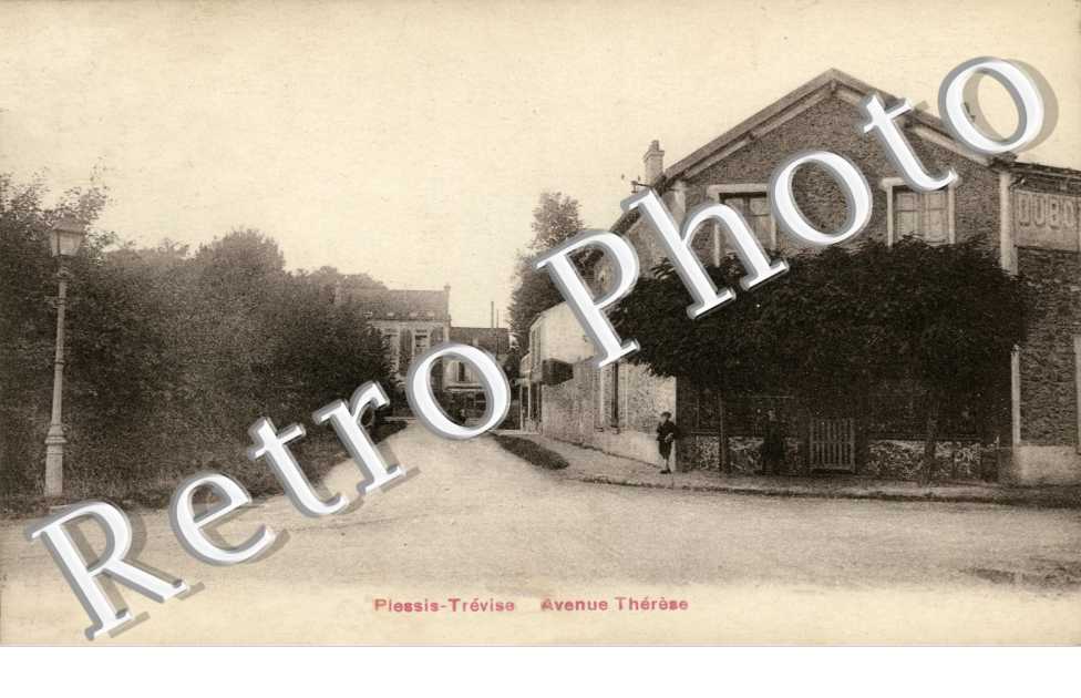 AVENUE THERESE
