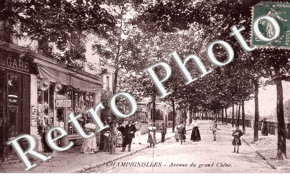 CHAMPIGNOLLES  Avenue du grand chene