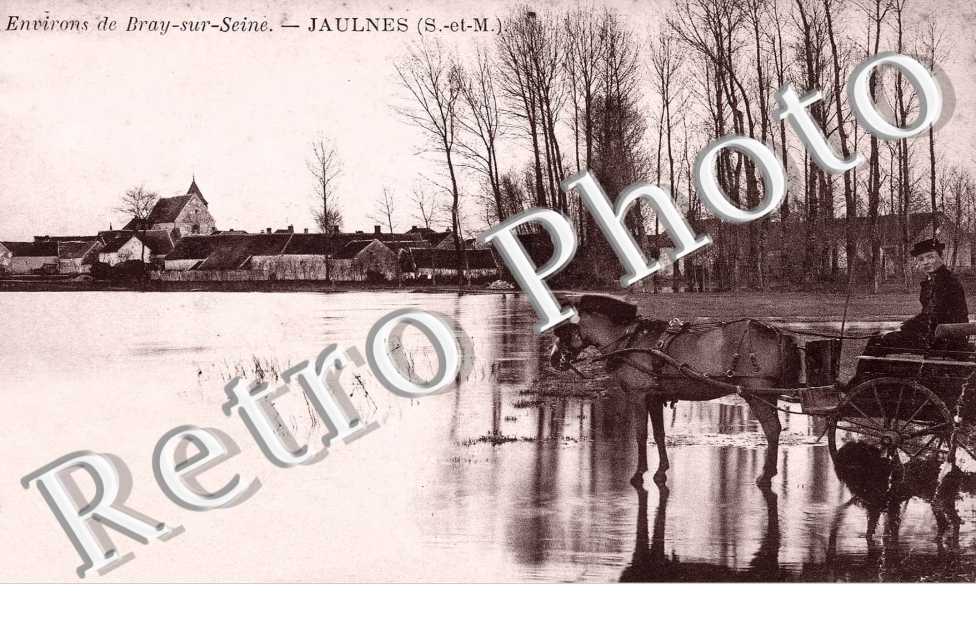 ENVIRONS DE BRAY SUR SEINE ( ATTELAGE A DROITE)