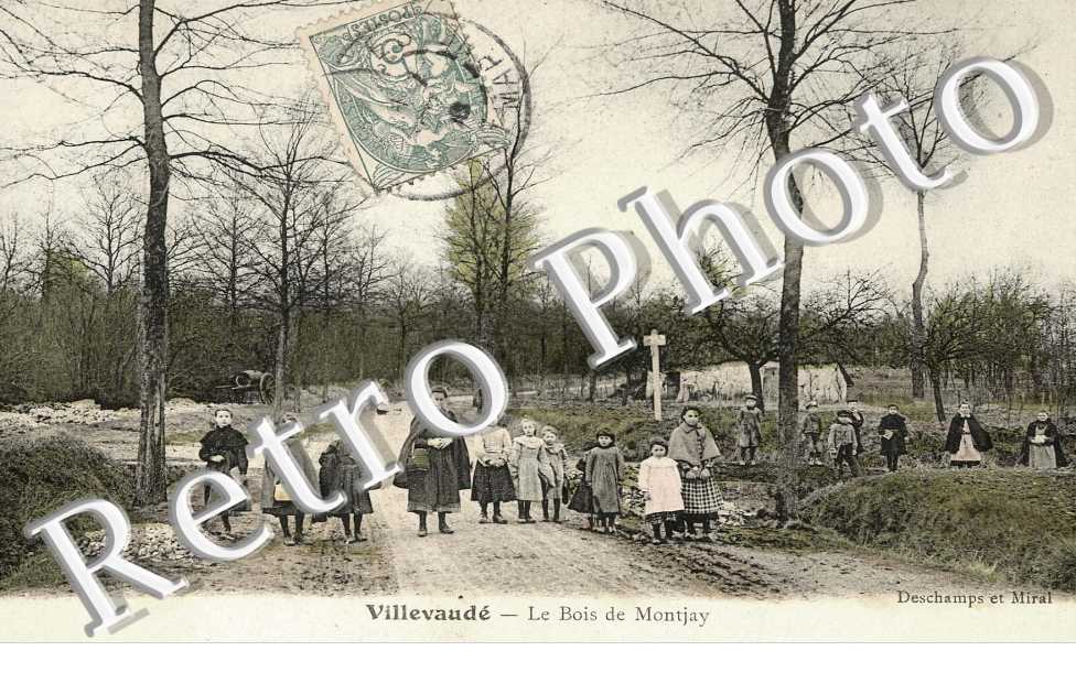 LE BOIS DE MONTJAY