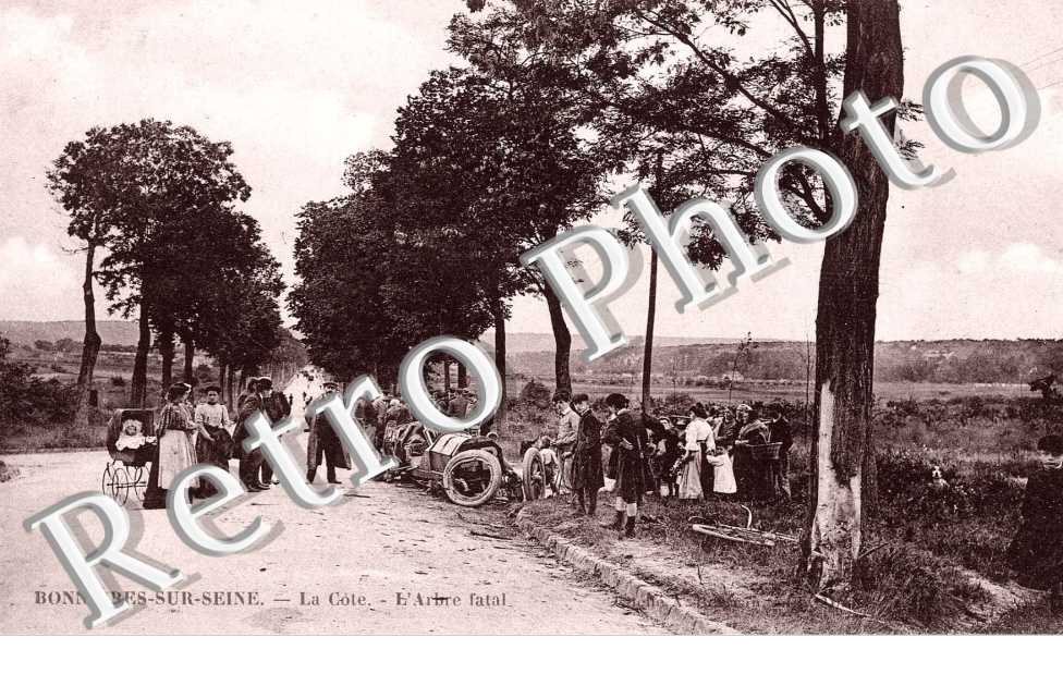 la cote, l'arbre fatal