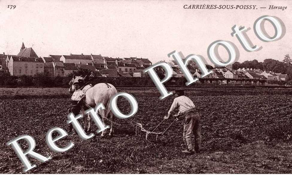 hersage, HERSE AGRICULTURE