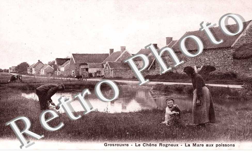 le chene Rogneux, la mare aux poissons