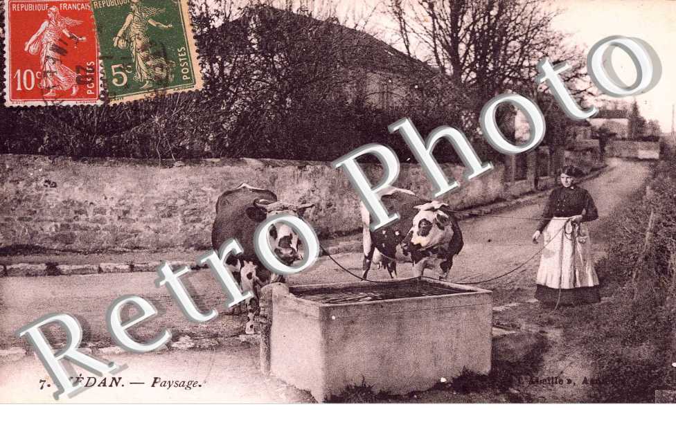 Paysage